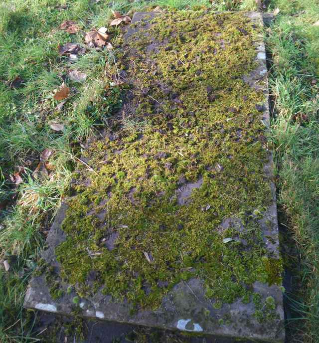 Image of headstone. Full inscription, if known, accompanying. Click for a larger view.