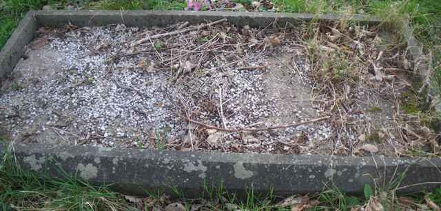 Image of headstone. Full inscription, if known, accompanying. Click for a larger view.