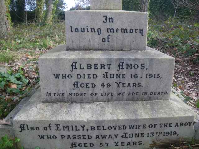 Image of headstone. Full inscription, if known, accompanying. Click for a larger view.