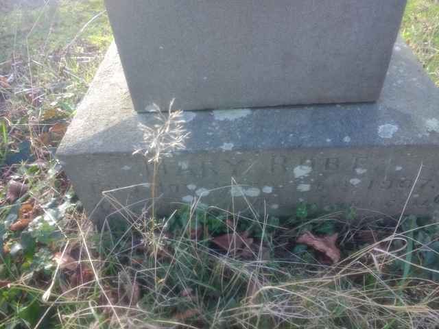 Image of headstone. Full inscription, if known, accompanying. Click for a larger view.