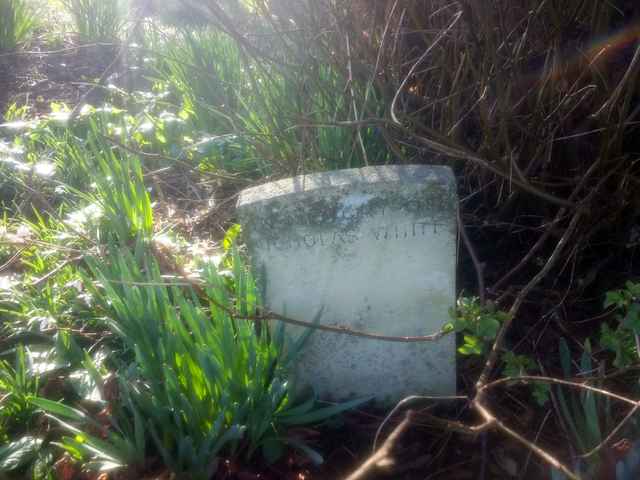 Image of headstone. Full inscription, if known, accompanying. Click for a larger view.