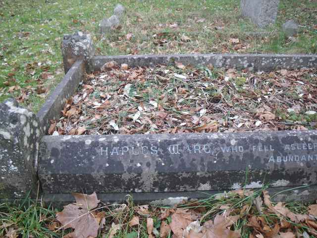 Image of headstone. Full inscription, if known, accompanying. Click for a larger view.